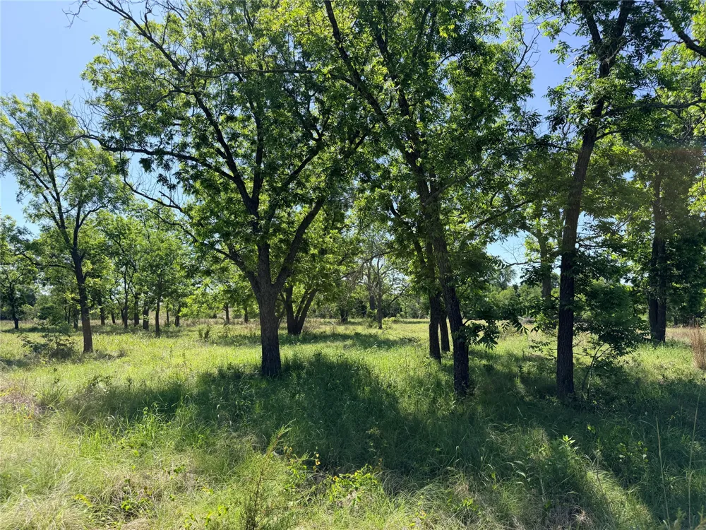 2455 FM 1047 Star, TX 76880