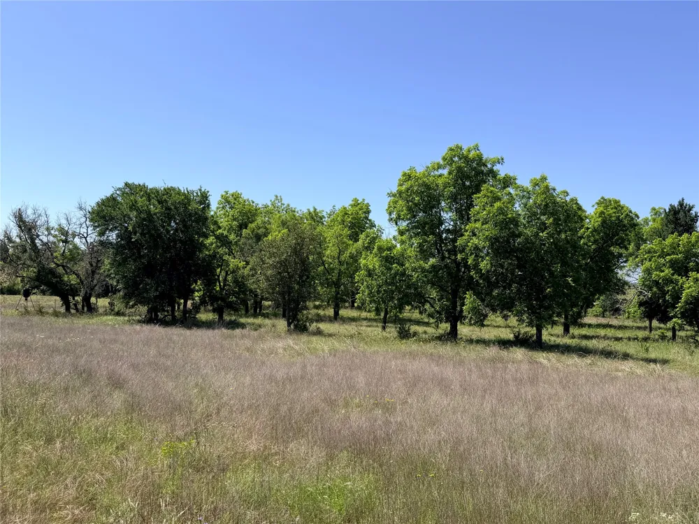 2455 FM 1047 Star, TX 76880