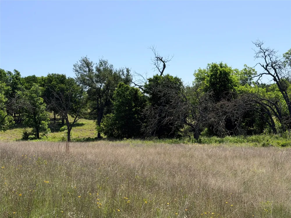 2455 FM 1047 Star, TX 76880