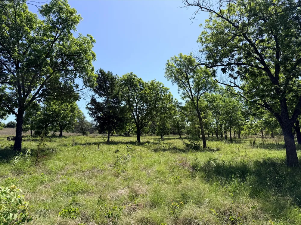 2455 FM 1047 Star, TX 76880