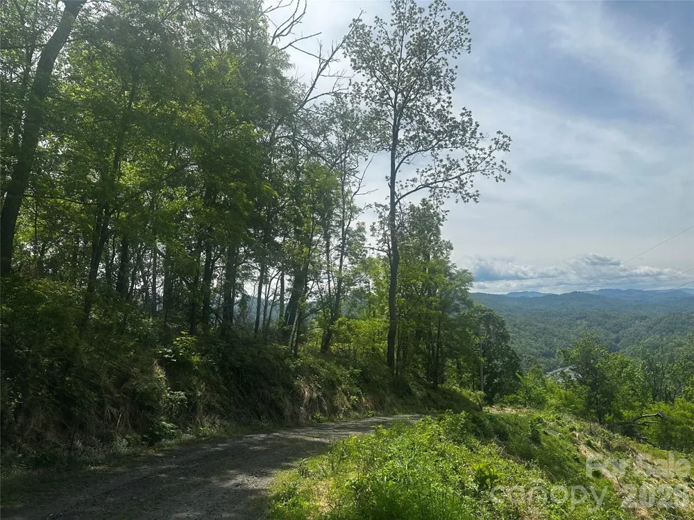 00 John Sparks Road Bakersville, NC 28705