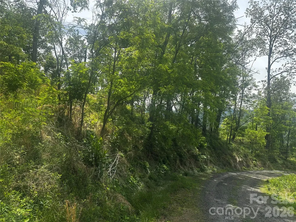 00 John Sparks Road Bakersville, NC 28705