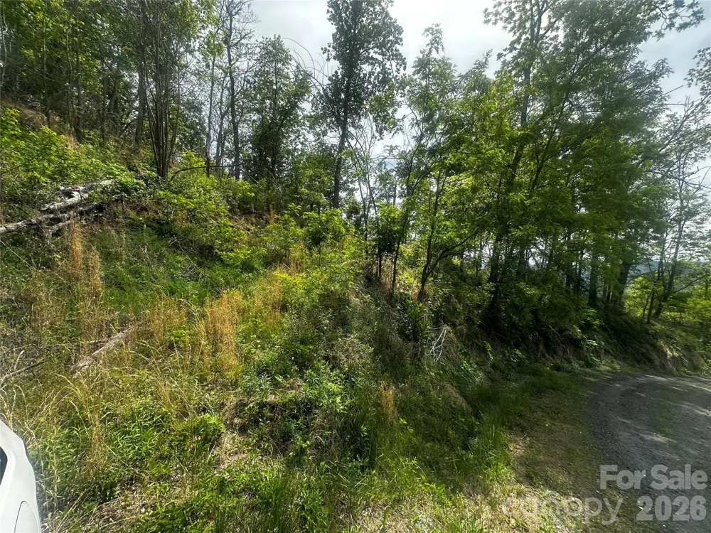 00 John Sparks Road Bakersville, NC 28705