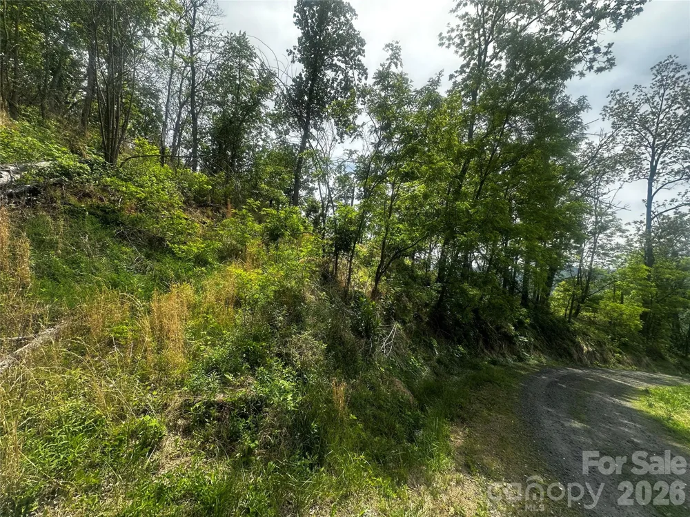 00 John Sparks Road Bakersville, NC 28705