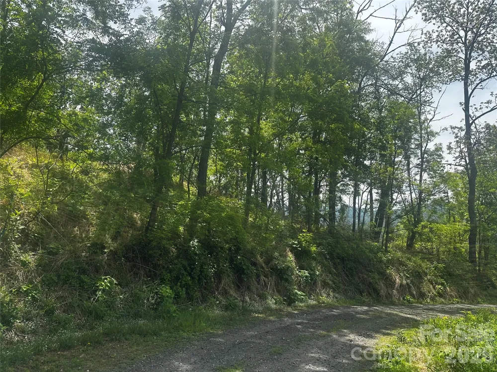 00 John Sparks Road Bakersville, NC 28705