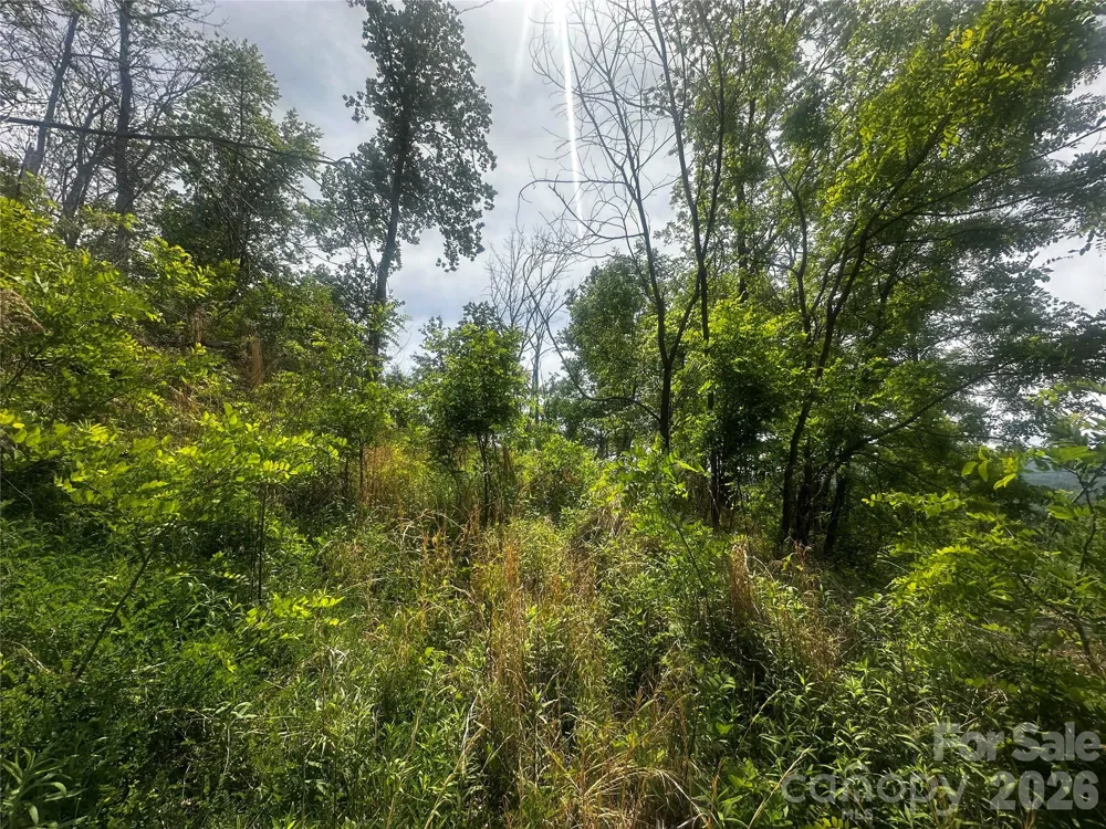 00 John Sparks Road Bakersville, NC 28705