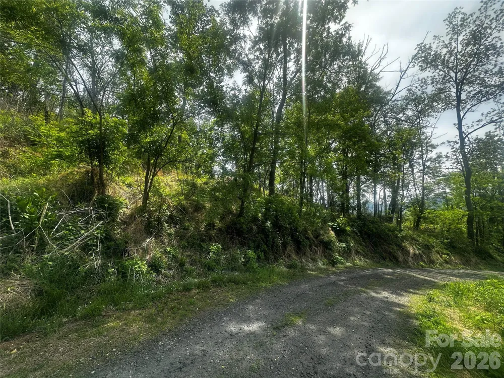 00 John Sparks Road Bakersville, NC 28705