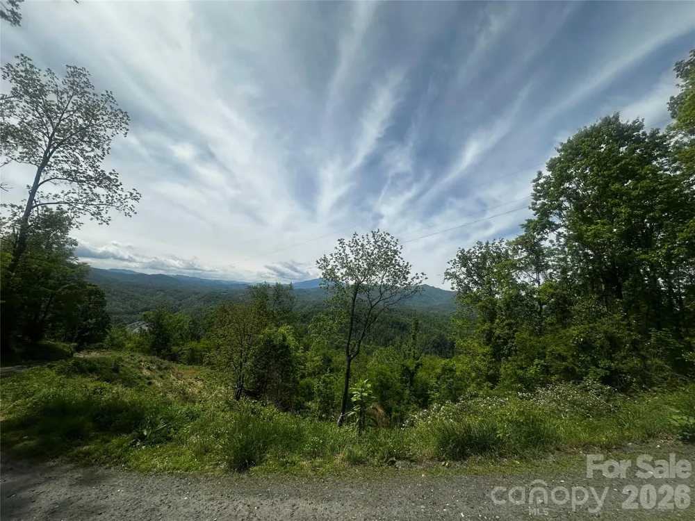 00 John Sparks Road Bakersville, NC 28705