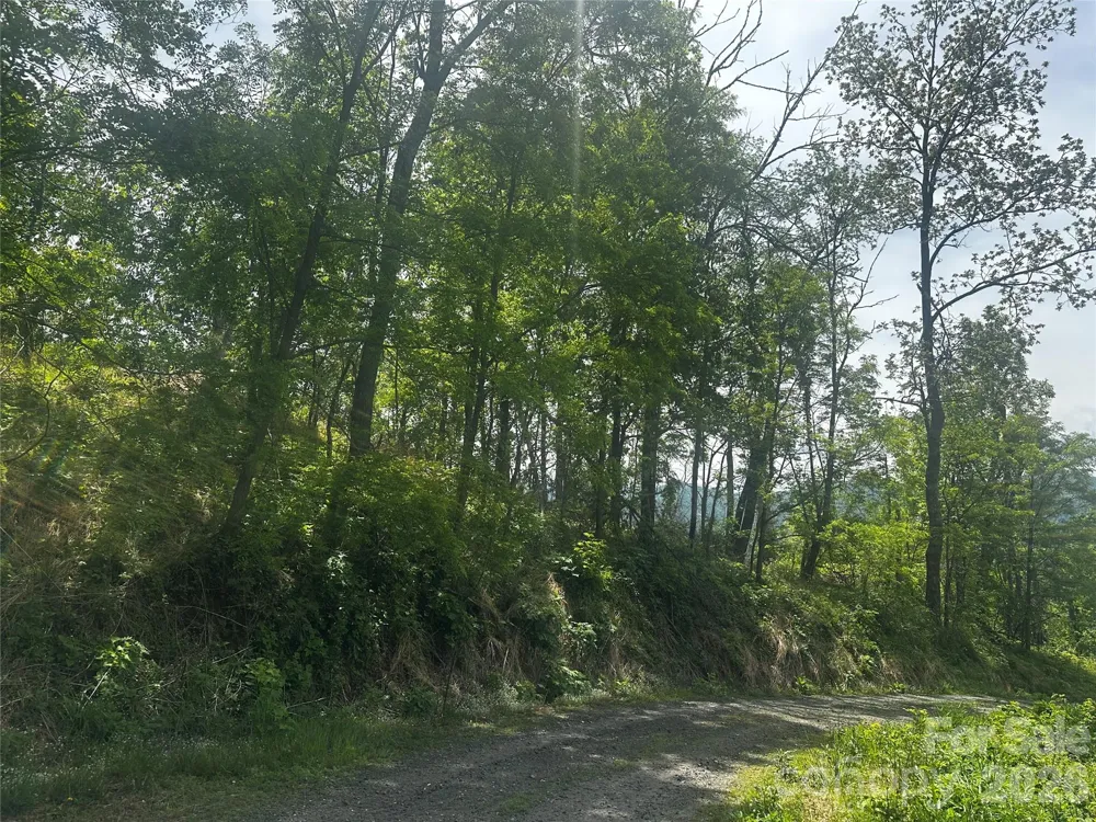 00 John Sparks Road Bakersville, NC 28705