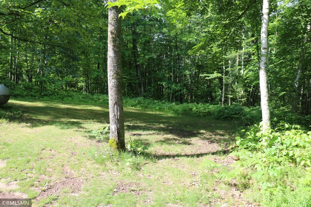 30205 Birch Drive Pine City, MN 55063