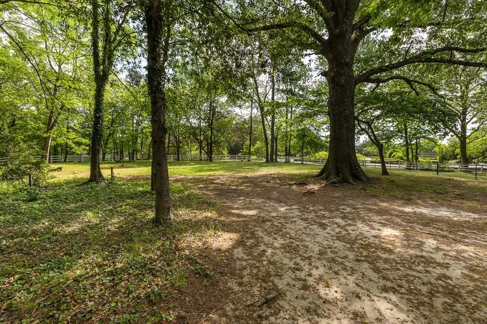 8643 POPLAR PIKE Memphis, TN 38138