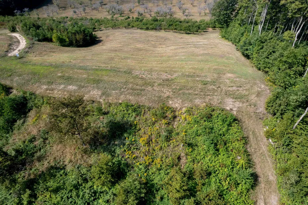 E Rudy Drive Leelanau Township, MI 49670
