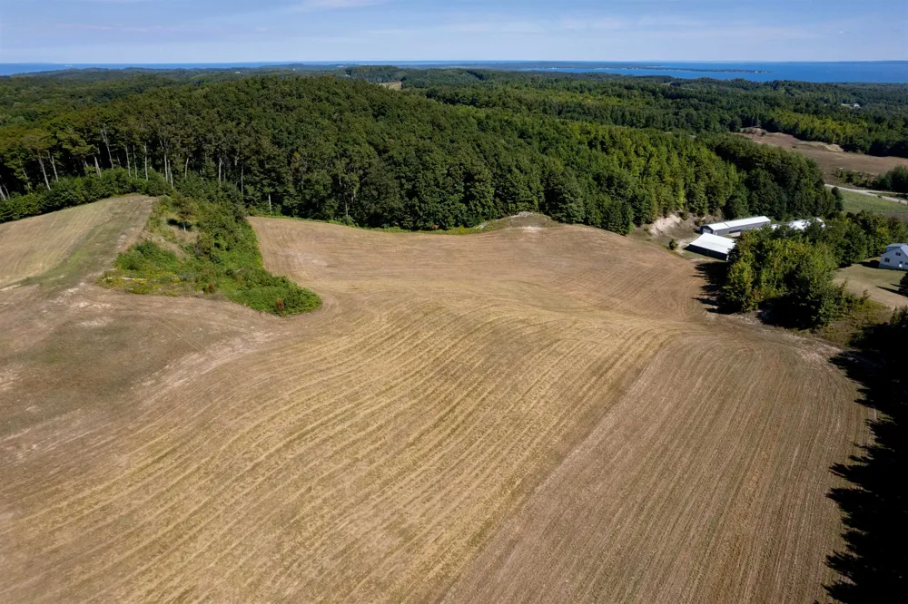 E Rudy Drive Leelanau Township, MI 49670