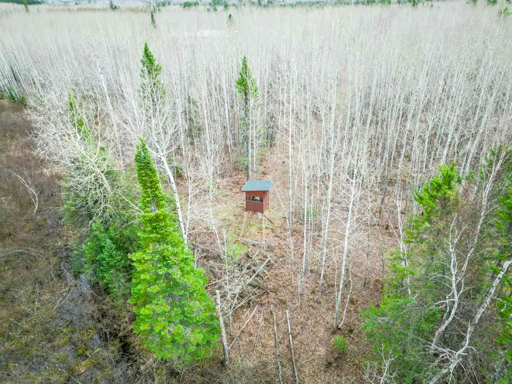 11212 Pozar Road Chisholm, MN 55719