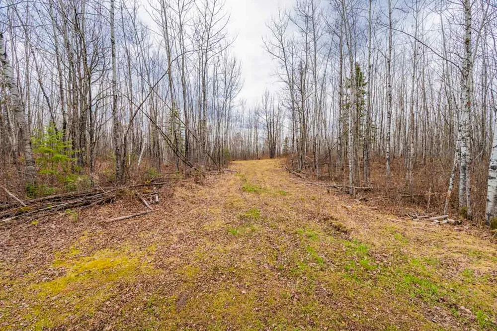 11212 Pozar Road Chisholm, MN 55719