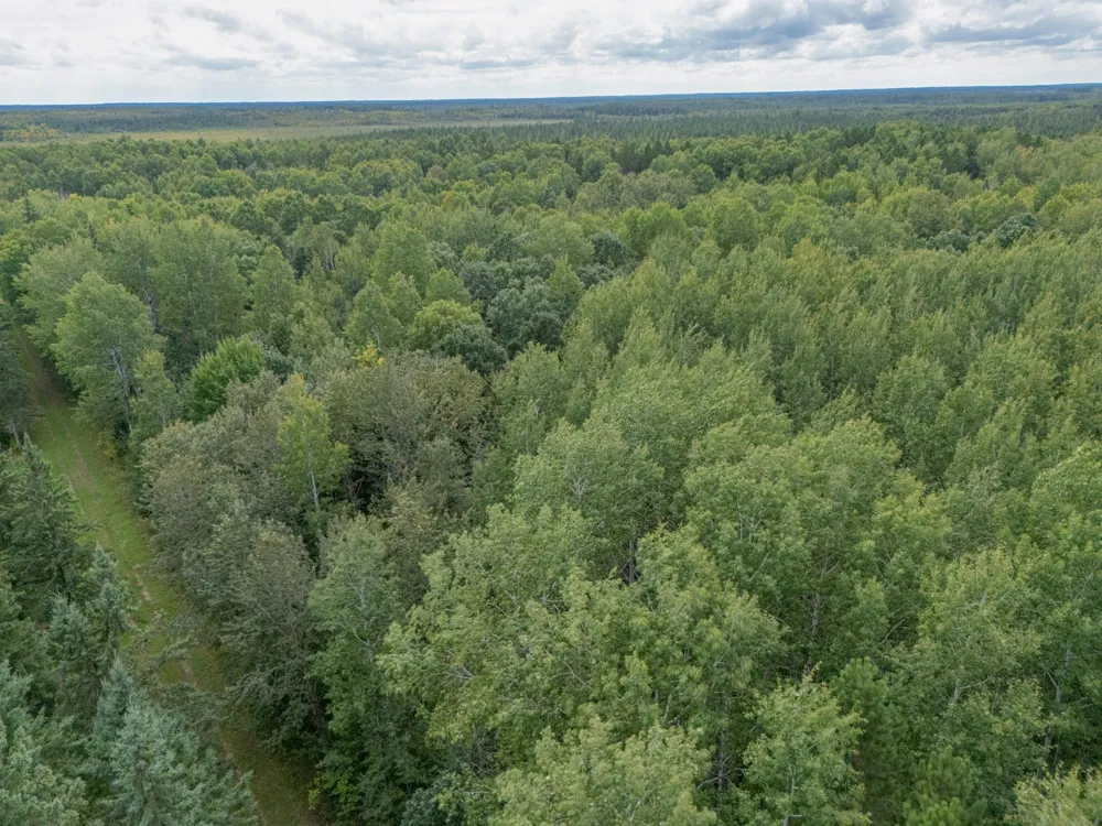TBD Town Road #55 Big Falls, MN 56627