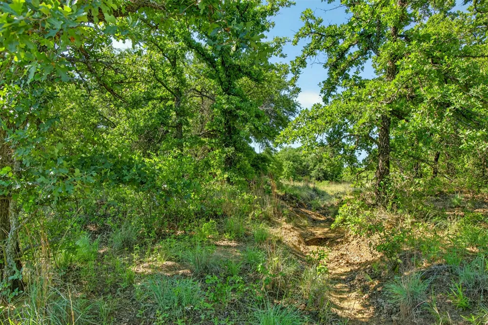 CR 144 Cisco, TX 76437