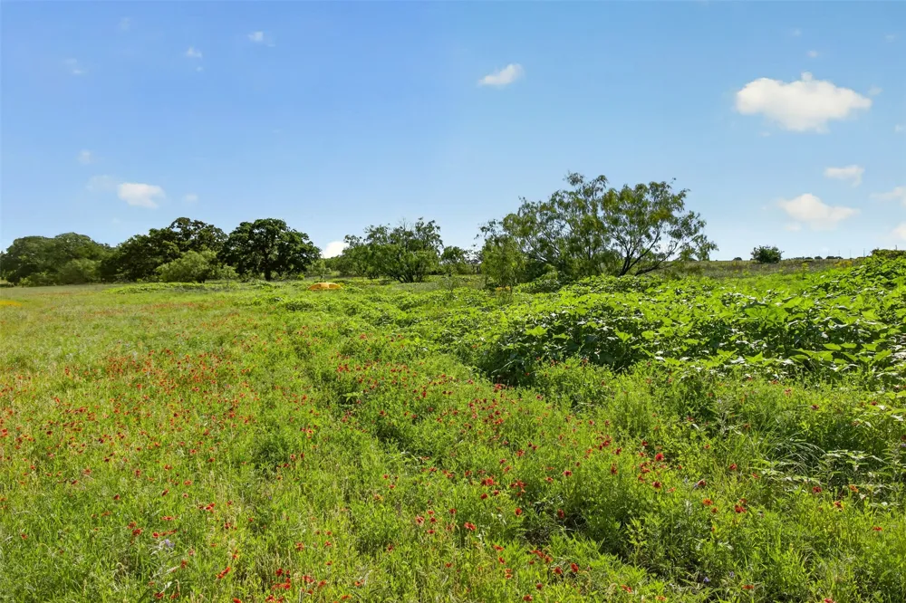 CR 144 Cisco, TX 76437