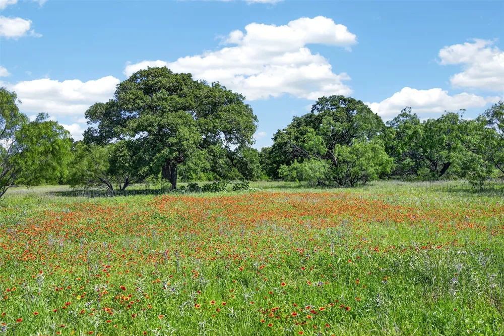 CR 144 Cisco, TX 76437