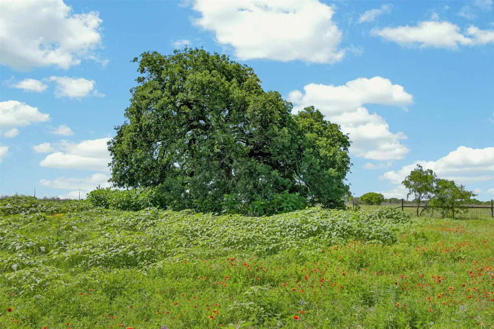 CR 144 Cisco, TX 76437