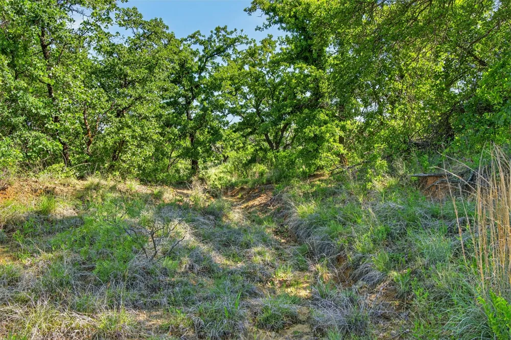 CR 144 Cisco, TX 76437