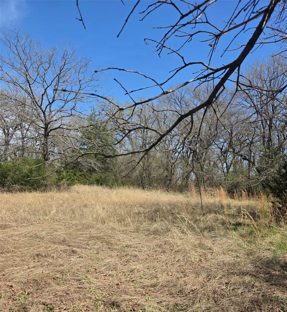 9319 U S HWY 287 Alvord, TX 76225