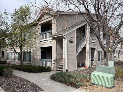 1146 Opal Street #101