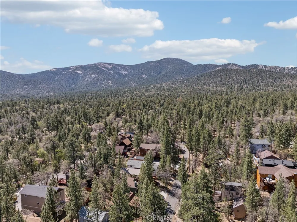 879 Spruce Lane Sugarloaf, CA 92386