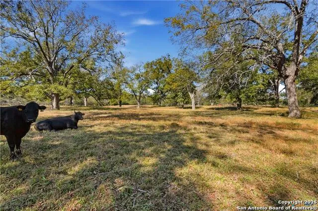 15145 Alternate 90 Kingsbury, TX 78638