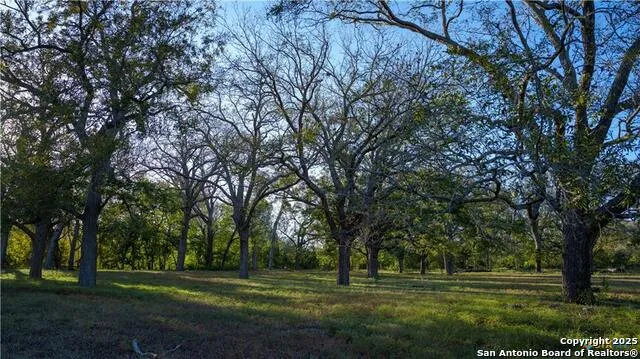 15145 Alternate 90 Kingsbury, TX 78638
