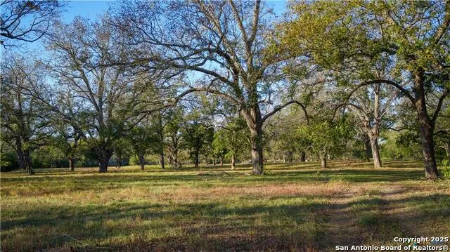 15145 Alternate 90 Kingsbury, TX 78638