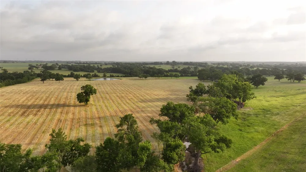 3283 Fm 2562 Road Anderson, TX 77830