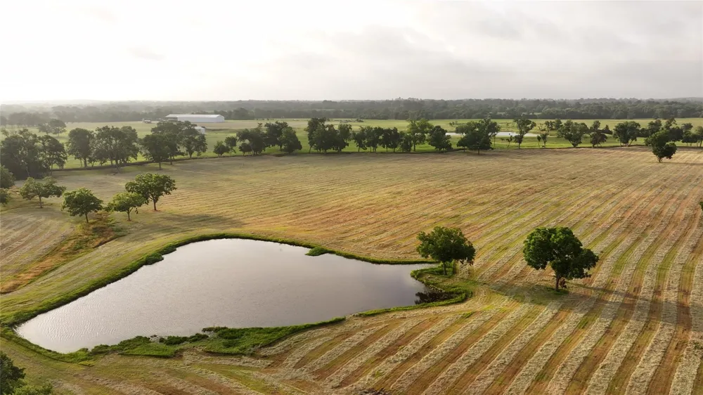 3283 Fm 2562 Road Anderson, TX 77830