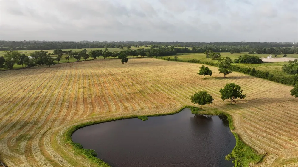 3283 Fm 2562 Road Anderson, TX 77830