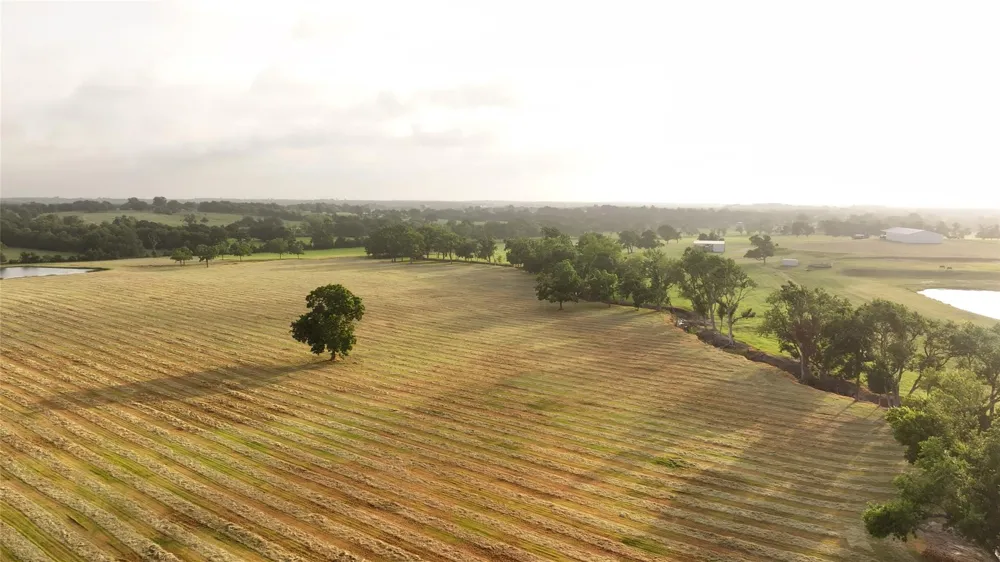 3283 Fm 2562 Road Anderson, TX 77830