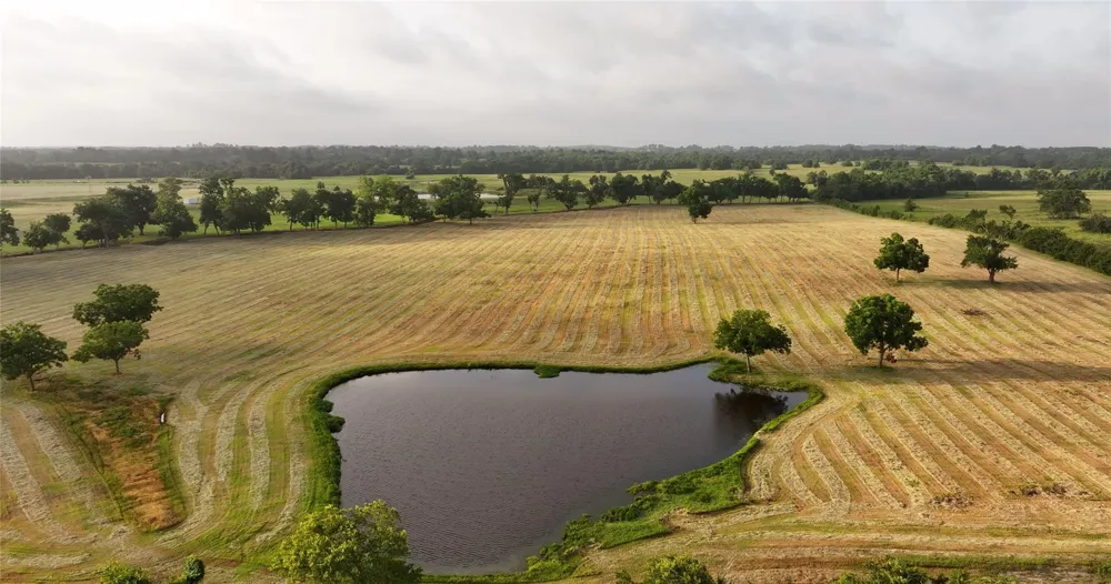 3283 Fm 2562 Road Anderson, TX 77830