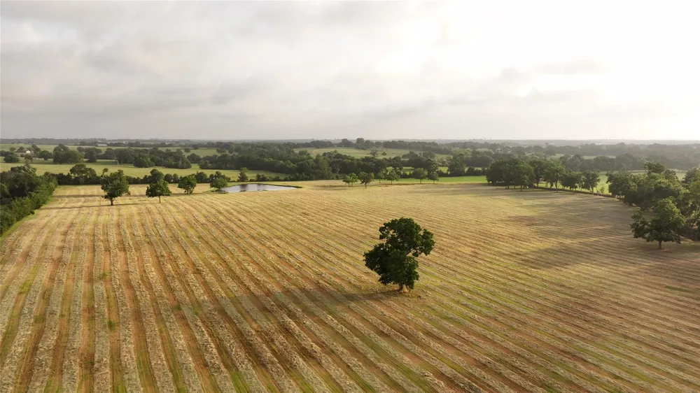 3283 Fm 2562 Road Anderson, TX 77830