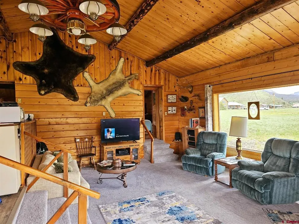 4650 US FSRD 516 Cabin #6 Creede, CO 81130