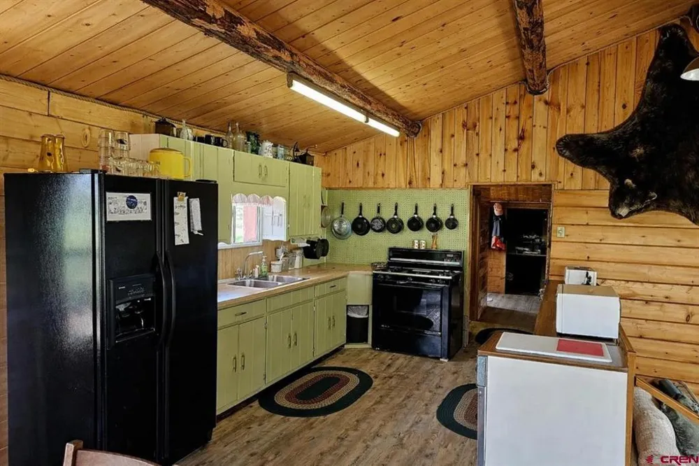 4650 US FSRD 516 Cabin #6 Creede, CO 81130
