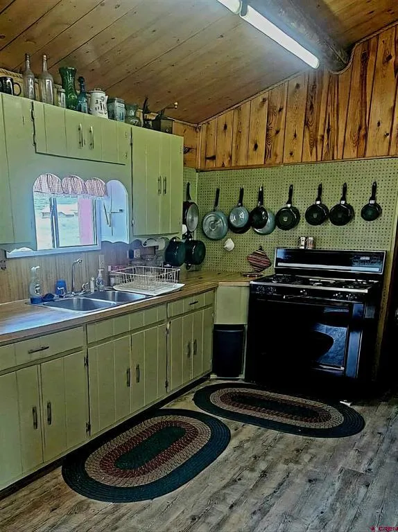 4650 US FSRD 516 Cabin #6 Creede, CO 81130