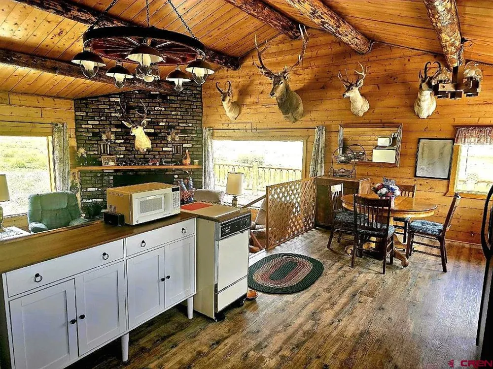 4650 US FSRD 516 Cabin #6 Creede, CO 81130