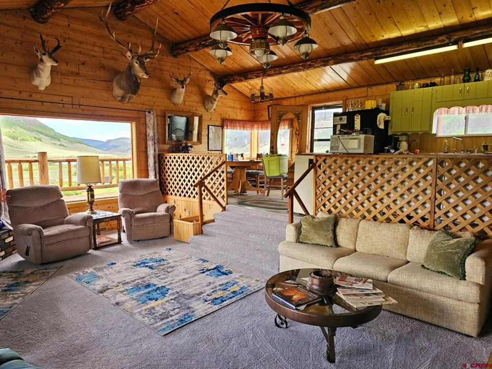 4650 US FSRD 516 Cabin #6 Creede, CO 81130