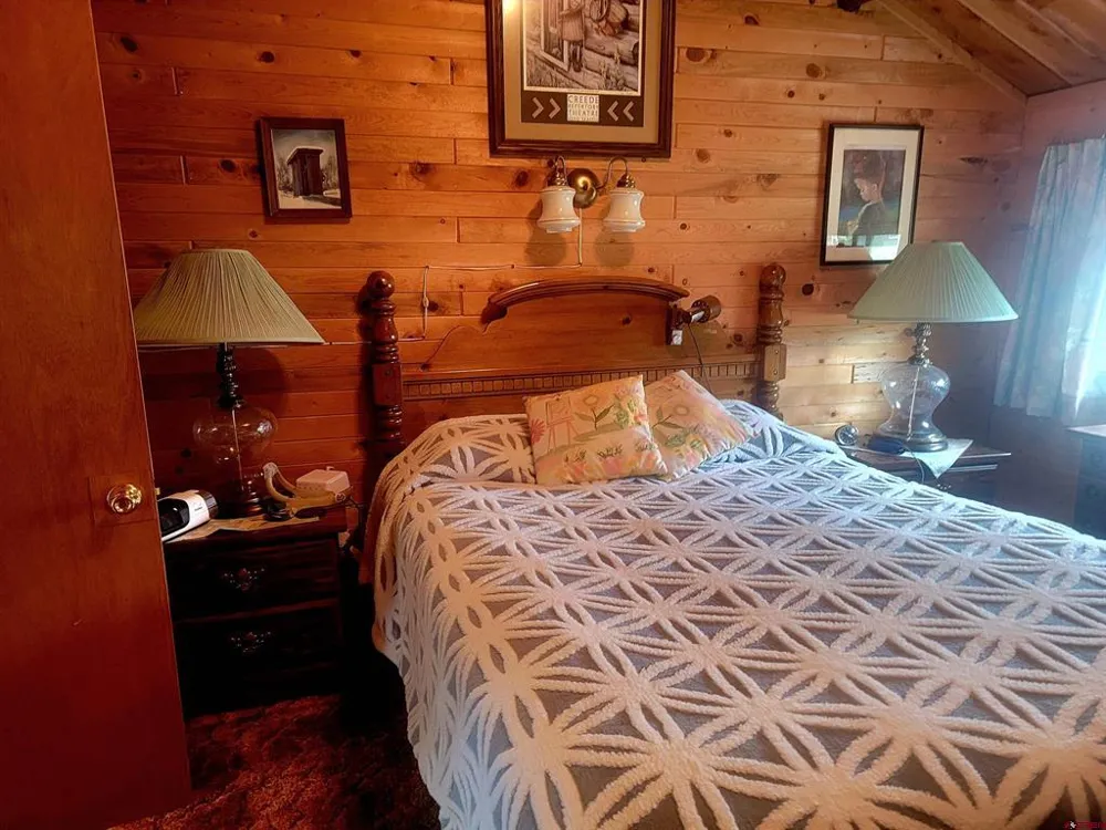 4650 US FSRD 516 Cabin #6 Creede, CO 81130