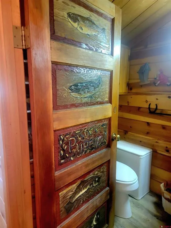 4650 US FSRD 516 Cabin #6 Creede, CO 81130