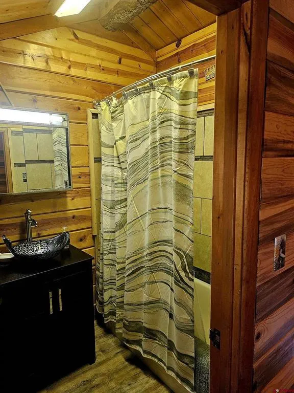4650 US FSRD 516 Cabin #6 Creede, CO 81130