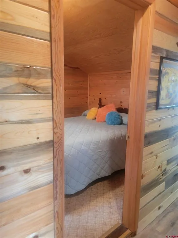 4650 US FSRD 516 Cabin #6 Creede, CO 81130