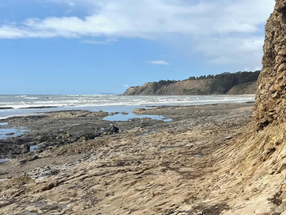 389 Ocean Parkway Bolinas, CA 94924