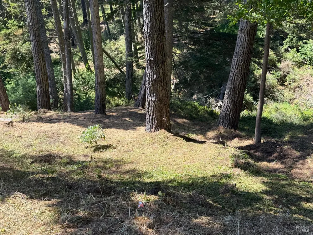 389 Ocean Parkway Bolinas, CA 94924
