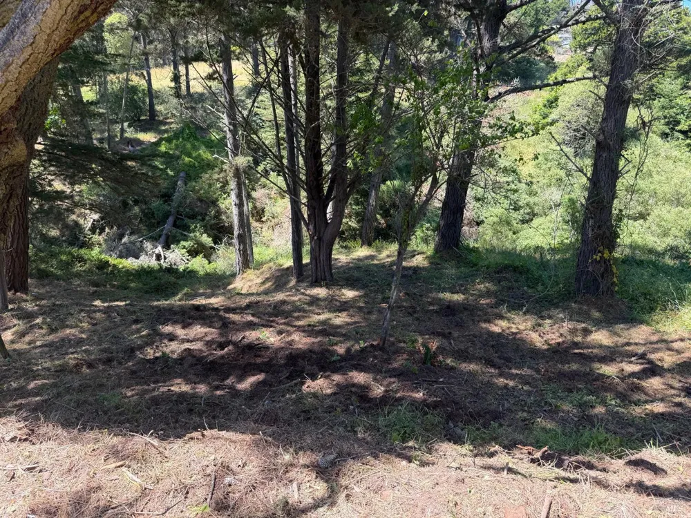 389 Ocean Parkway Bolinas, CA 94924