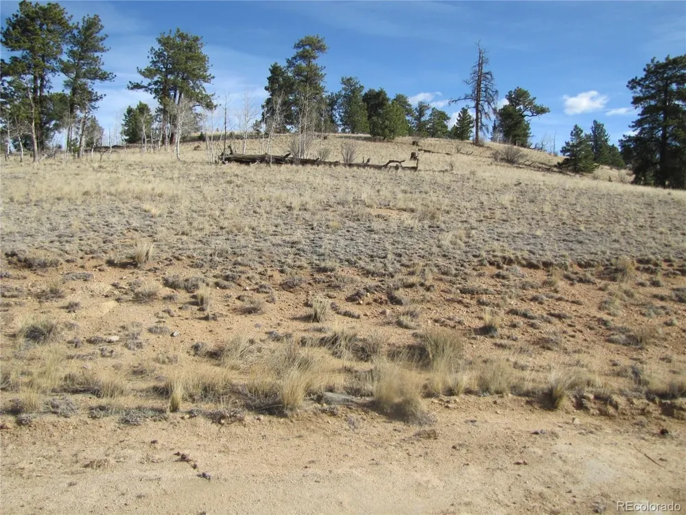 757 Remington Road Como, CO 80432